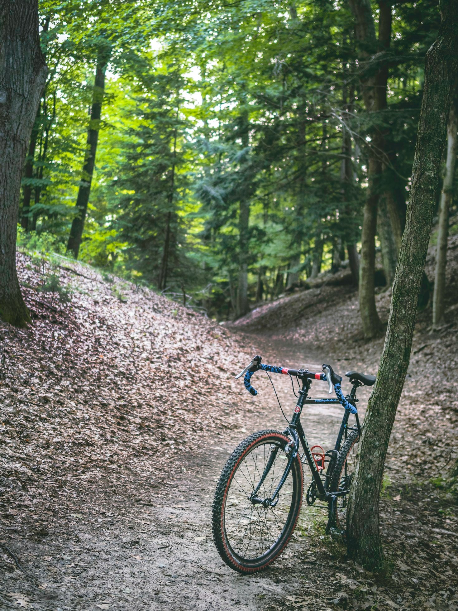 Road Bikes vs. Mountain Bikes: Key Differences